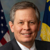 Steve Daines